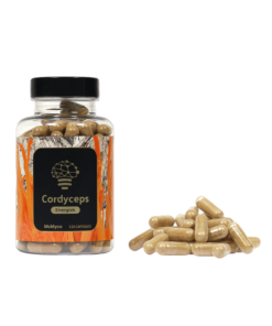 McMyco - Cordyceps Extract Capsules