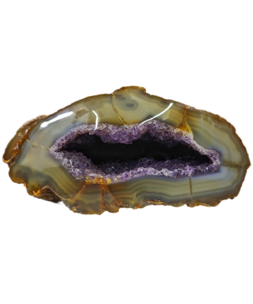 Agate Druzy + Amethyst Geode