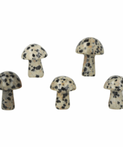 Dalmatian Jasper Mushroom (H5)