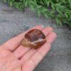 Carnelian Turtle (V4)