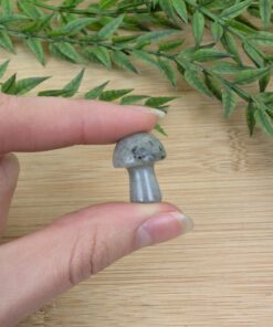 Labradorite Mushroom [O]