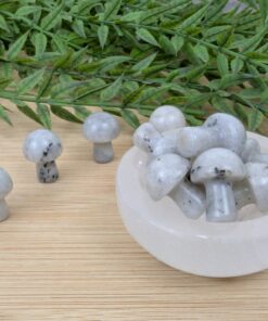 Labradorite Mushroom [O]