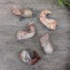 Whale Soapstone | 5 cm