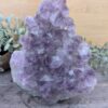 Amethyst Cluster (AAA) 4351 g (FV)