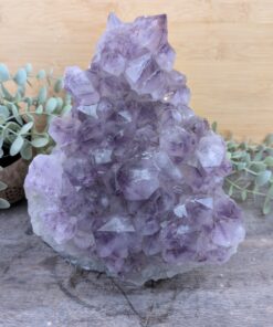 Amethyst Cluster (AAA) 4351 g (FV)